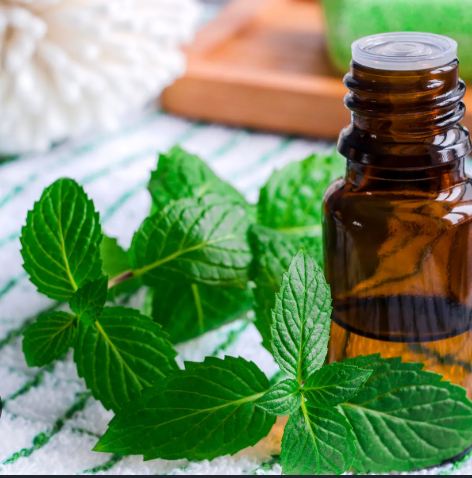 Peppermint Oil